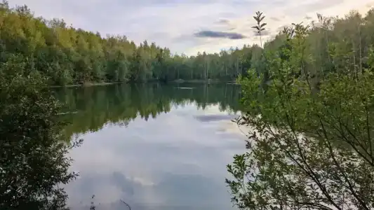 Фазенда - 4