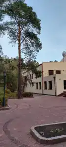 Хвойный - 88