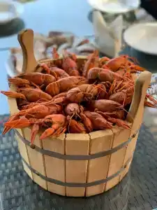 Поплавок - 35