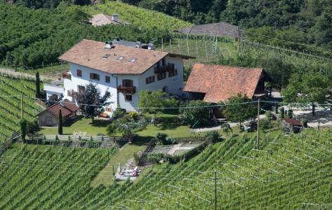 Tollhof - 3