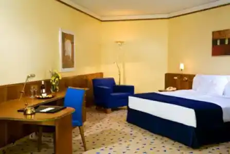 Sheraton Grand Tbilisi Metechi Palace - 70