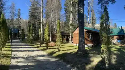 Лесной дом - 3