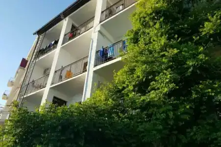 Фламинго - 19