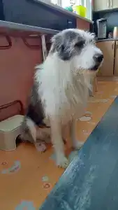 Акка Книбекайзе - 96