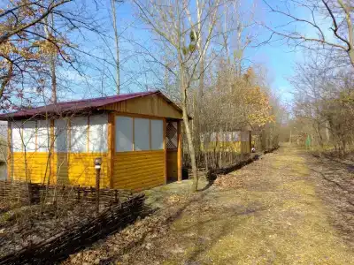 База отдыха у Викторовича - 28