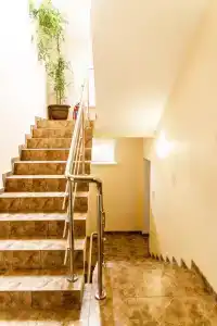 Династия - 2