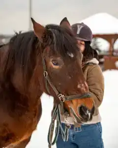 Эко клуб на Ферме - 28