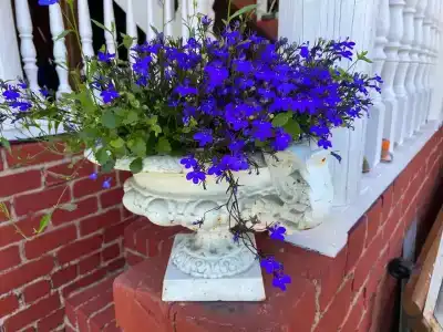 Самоварное заведение - 9