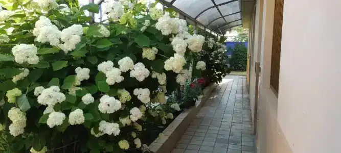 Морское Небо - 9