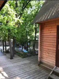 Зеленая роща - 16