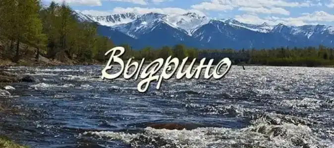 Полина - 6
