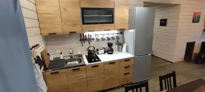 Ladoga Seal - 6