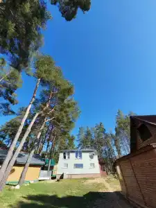 Друг - 17