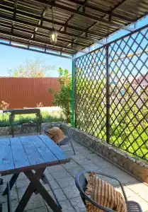 Ленивый Дельфин - 9