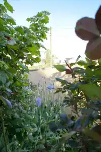 Ленивый Дельфин - 14