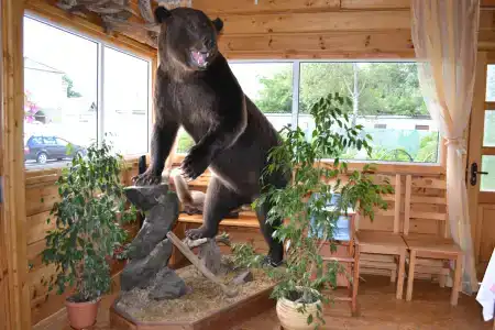 Золотой Ручей - 51