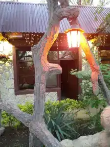 Золотая вилка - 33