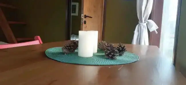 Смородина - 56