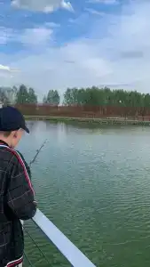 Горка - 20