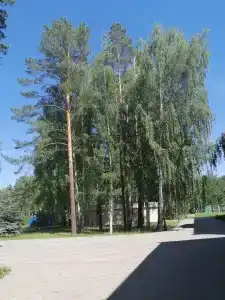 Жемчужный - 1