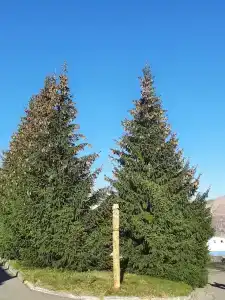 Пансионат Светлячок - 36