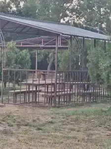 Любимовка - 40