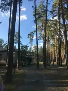 Ёлочка - 0