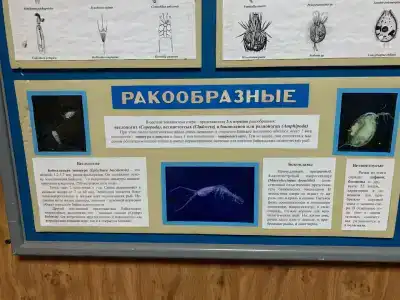 Байкальский государственный природный биосферный заповедник - 75