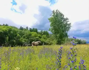 Байтерек Camp - 13