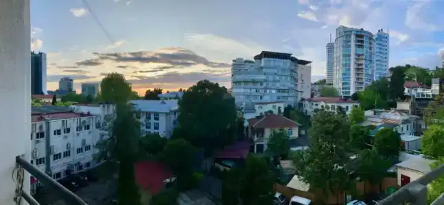 Магнолия - 21