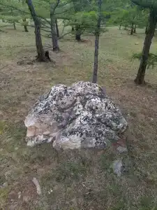Загородный дом - 45