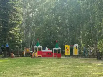 Солнечная поляна - 12