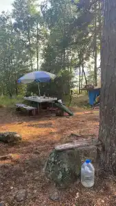 Колокольцево - 41