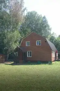 Березка - 46