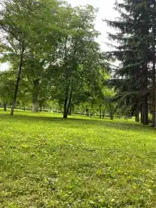 Центральный Детский санаторий - 66