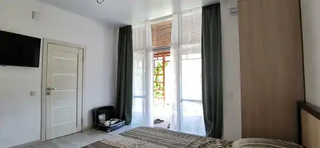 Вариант Омега - 55