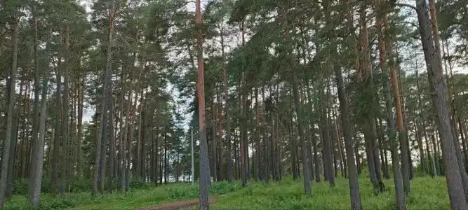 Усадьба помещика Гуляева - 18