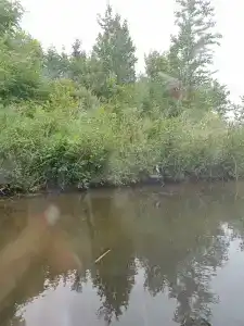 Остров - 29