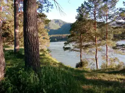 Домик у реки на Зеленой улице - 4