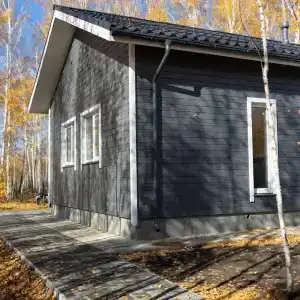 Каникулы в лесу - 0