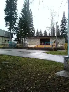 Сокол - 35