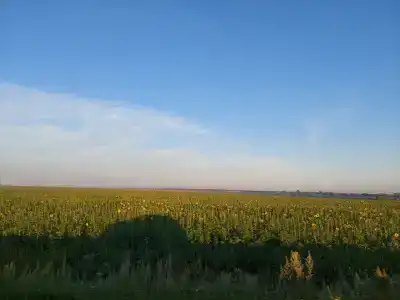 Озерский пруд - 2