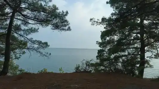 St. Agria - 19