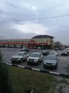 Роза ветров - 7