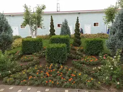 Великовечное - 53