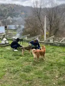 Мой Рай - 12