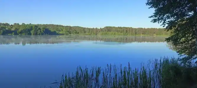 Стеклянный берег - 5