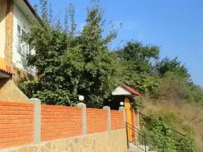 у Алены - 42