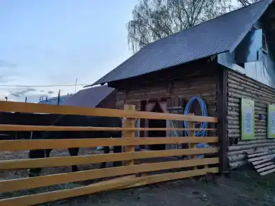 Стрижели - 24