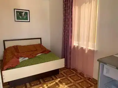 Амир-Дани - 44